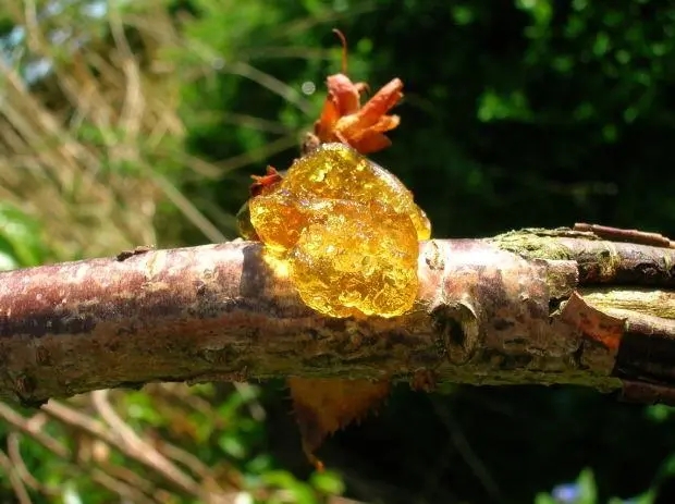 樹(shù)脂消泡劑